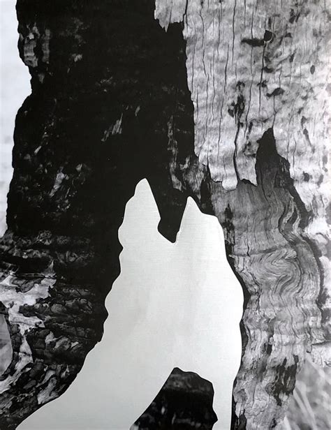 fernanda naman|Artists / Fernanda Naman.